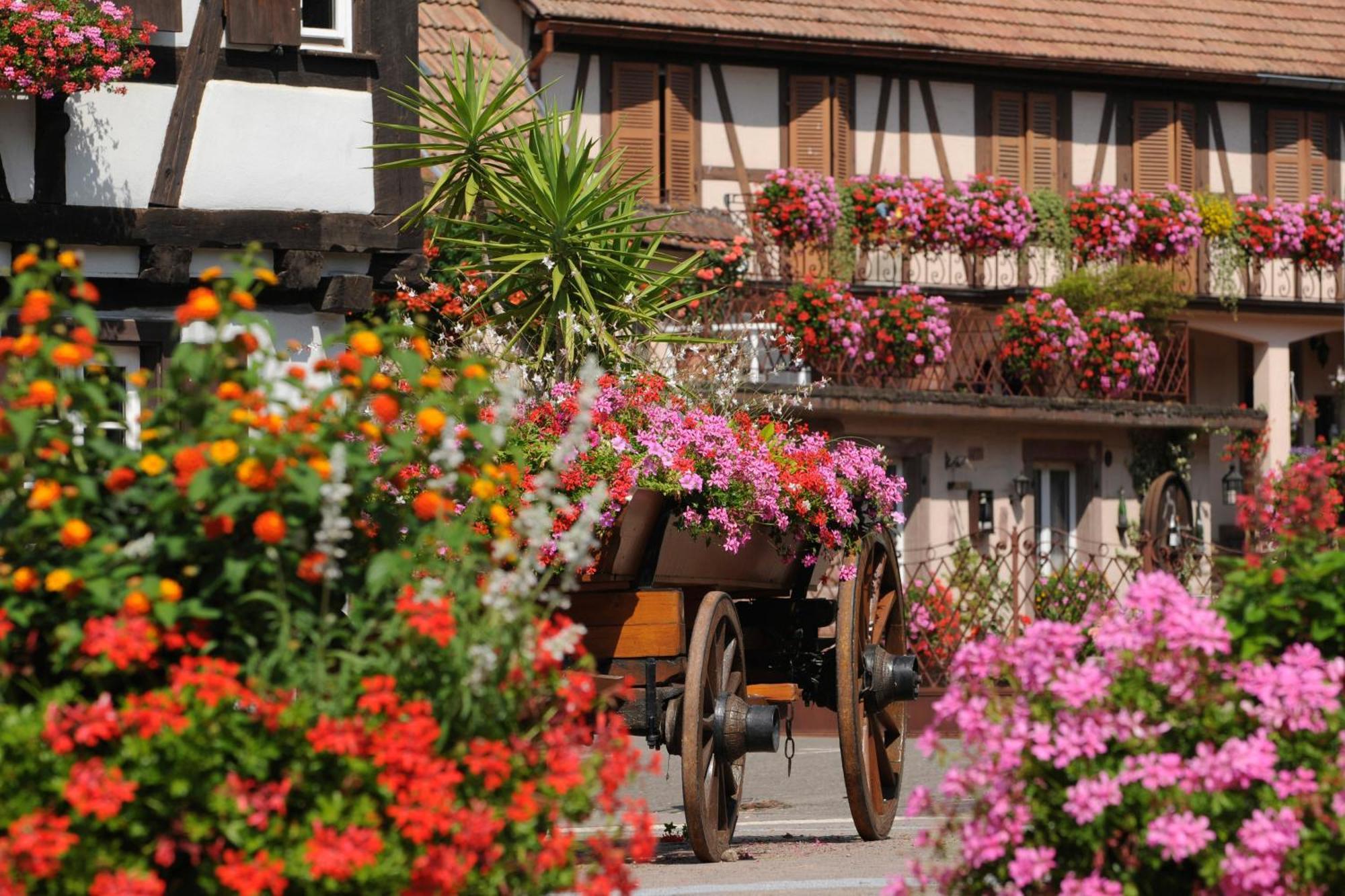 Gite Jeanne Familial - Calme - Parking Ebersheim Exterior foto